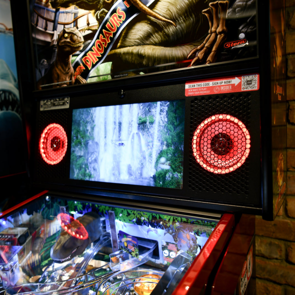 Stern Pinball Expression Speaker Lighting System